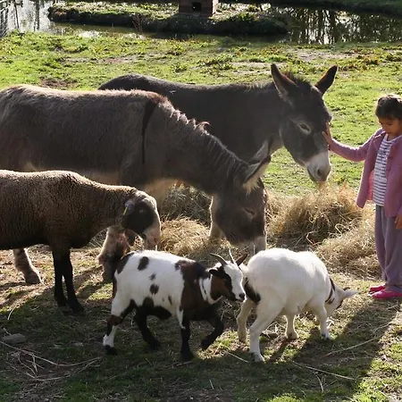 Bertrand Couette-café Villefranche-de-Panat