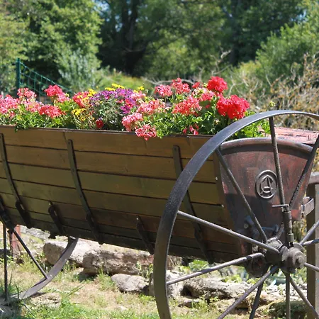Bertrand Couette-café