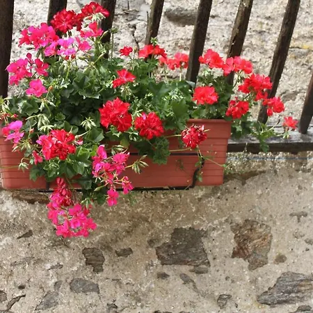 Bertrand Couette-café *