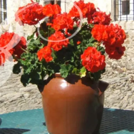 Couette-café Bertrand *