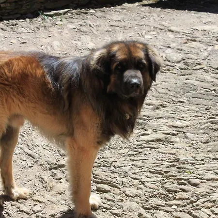 Couette-café Bertrand *