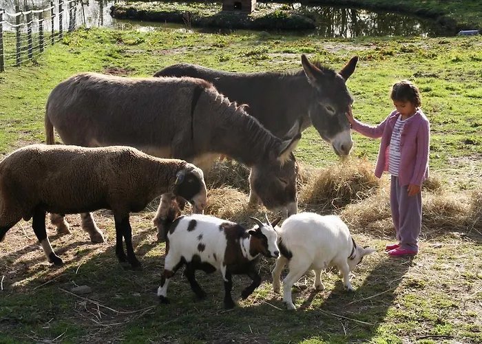 Bertrand Bed & Breakfast Villefranche-de-Panat