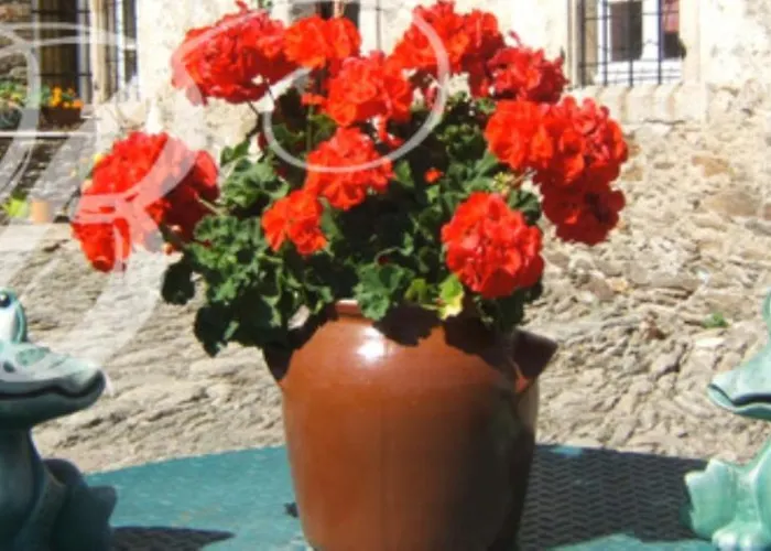 Bed & Breakfast Bertrand *